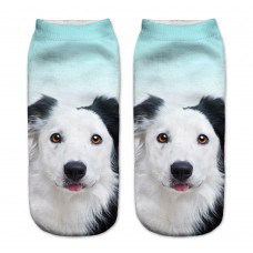 Mini calza donna Stampa cane razza Border Collie