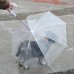 Ombrello Pioggia per cani