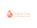 Dottor Fox